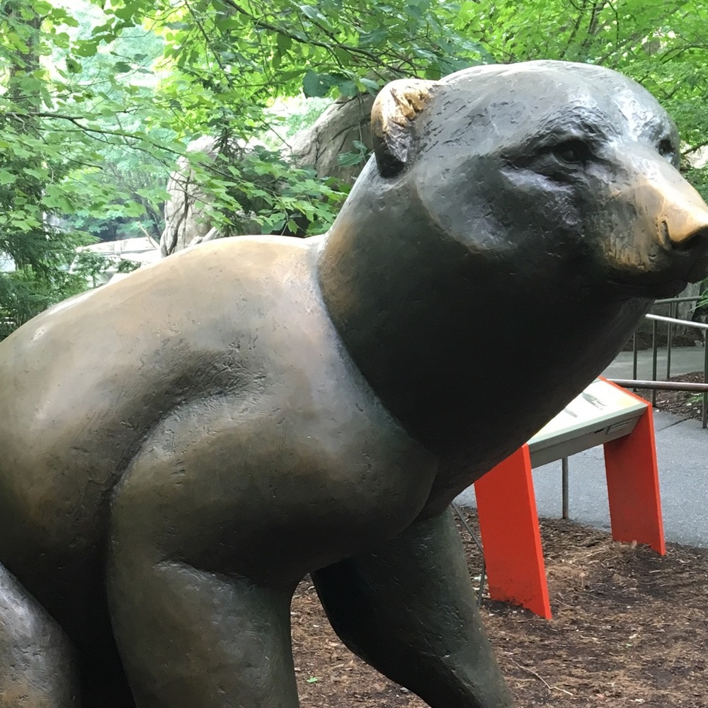 Meet your Posher, Linda